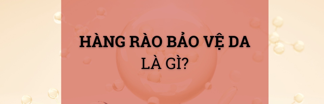 Hàng rào bảo vệ da là gì? Cách phục hồi và tăng cường