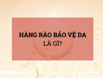 Hàng rào bảo vệ da là gì? Cách phục hồi và tăng cường