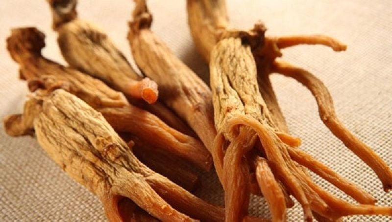 Hồng sâm có khả năng chống lão hóa mạnh mẽ