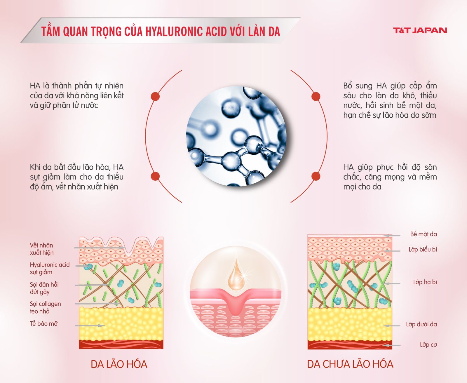 Tác dụng của Hyaluronic Acid trong mỹ phẩm